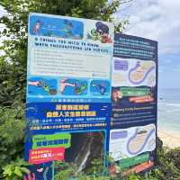 ［小琉球］是蛤板灣沙灘 🏖️也是「威尼斯海灘」🏝️