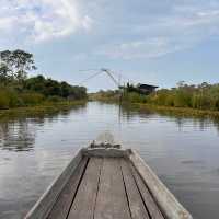 Lotus Paradise: Exploring the Beauty of Thale Noi in Phattalung!