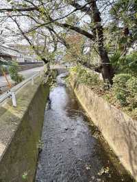 【埼玉県】参道と公園とお地蔵さま