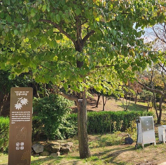 가을 인천드림파크