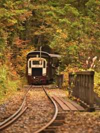 【長野】アメリカの紅葉を彷彿とさせる絶景🍁攻略&周辺観光情報付き✨