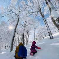 玩雪也可以選日本東北藏王