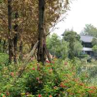 流花湖公園：自然與靜謐的完美結合 🌼