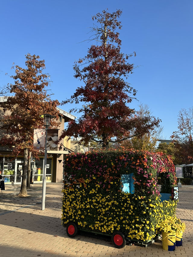 🍂 단풍으로 물든 여주의 풍경 🌳 가을 나들이 가기 좋은 여행지 추천 🧡
