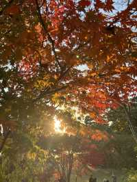 สวนสาธารณะ Seoul grand park