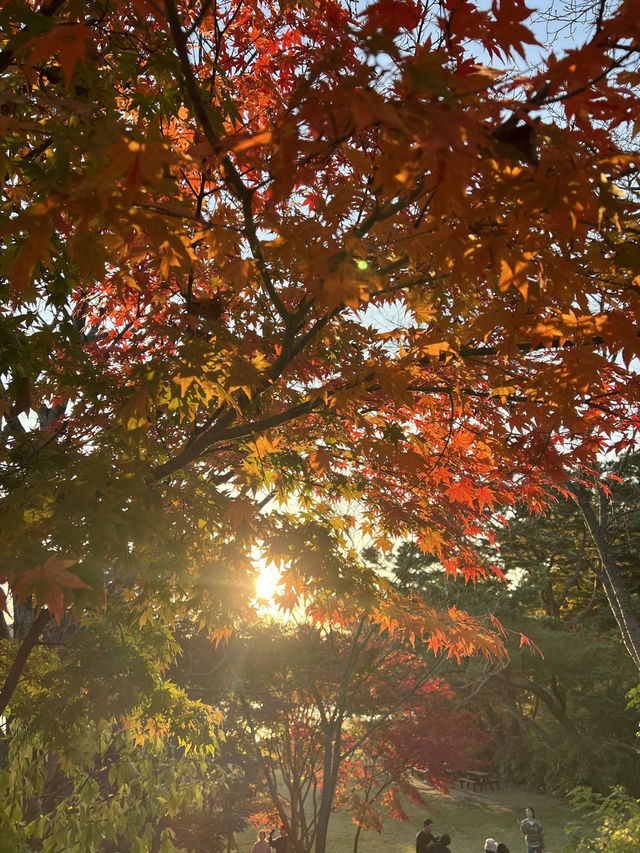 สวนสาธารณะ Seoul grand park