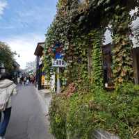 Experience local life in Beijing Beijing is "Hutong culture"