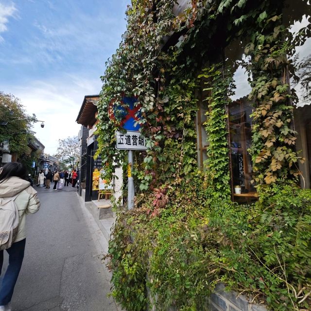 Experience local life in Beijing Beijing is "Hutong culture"