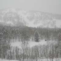 Kiroro Ski