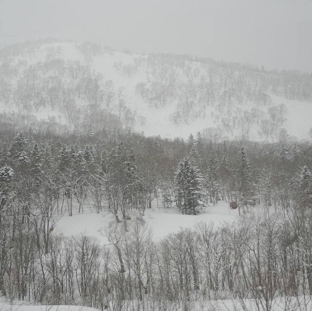 Kiroro Ski