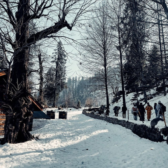 Solang Valley: Nature’s Playground and Adventure Hub 🏞️✨