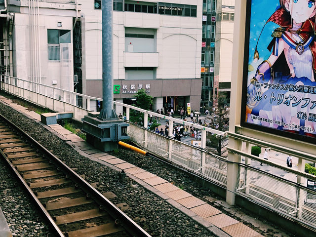 # TOKYO🇯🇵 東京漫遊の旅#