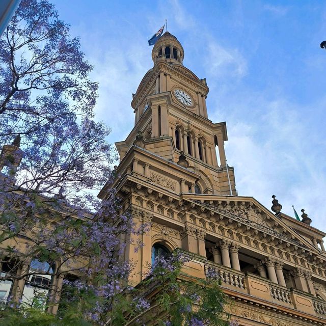 【Sydney Town Hall 悉尼市政廳】系遊客必到打卡點