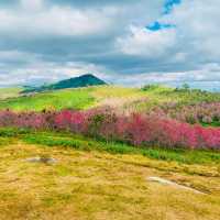 ภูลมโล