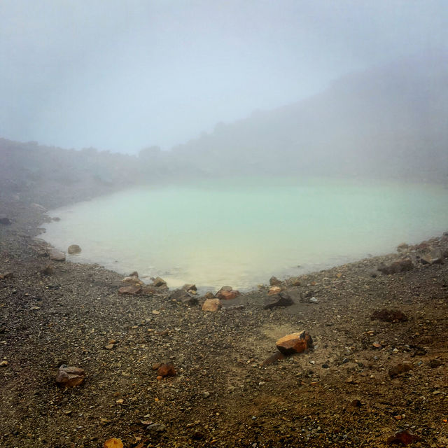 【NZ】トンガリロに挑戦🏔️