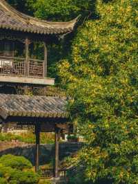 虞山公園
