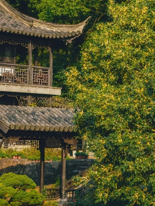虞山公園