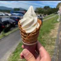 【岡山】観光　ひるぜんジャージーランド