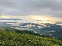 จุดชมวิวสวนยาหลวง จ.น่าน