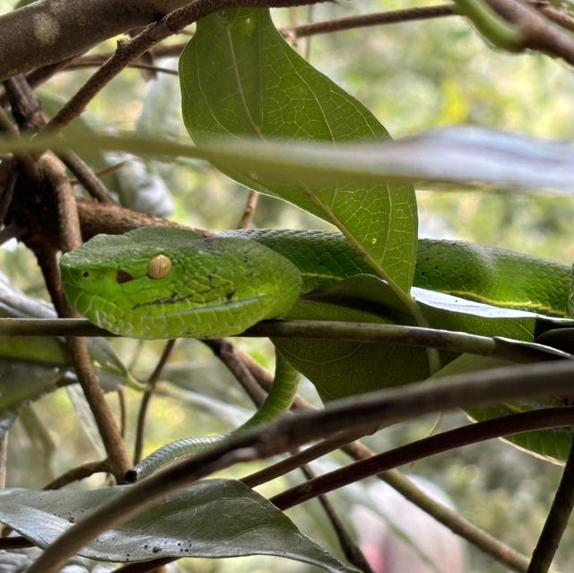 Adventure at Khao Yai National Park  