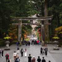 【栃木/日光】紅葉も美しい日光東照宮