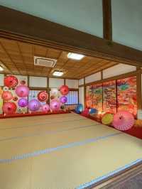 京都観光🥰🩷随心院🩷魅惑の和傘の光の祭典⛱️✨
