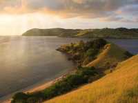 Komodo island - actual home of dragons 