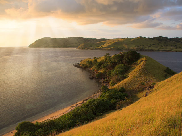 Komodo island - actual home of dragons 