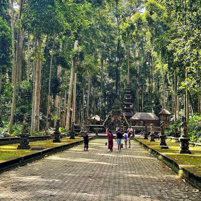 Sangeh Monkey Forest: A Tranquil Haven for Nature Lovers