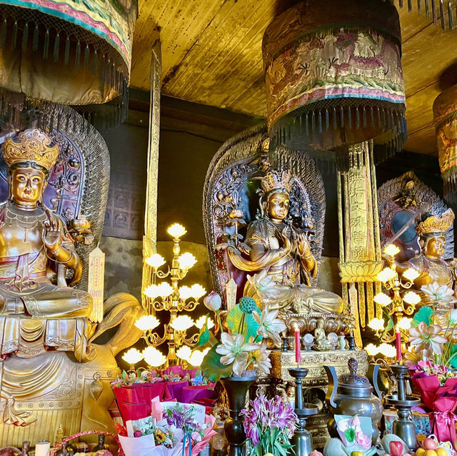Echoes of Wisdom and Harmony