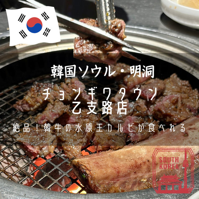 【韓国ソウル・明洞】絶品！韓牛の水原王カルビが食べれる「チョンギワタウン 乙支路店」