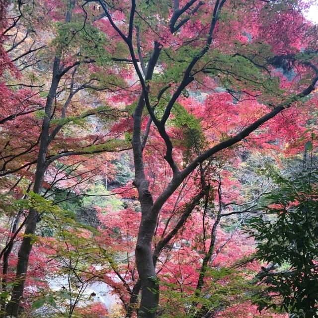 【山梨】昇仙峡