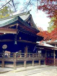 【栃木×佐野】 るろうに剣心のロケ地としても有名  紅葉 猫にも出逢える神社