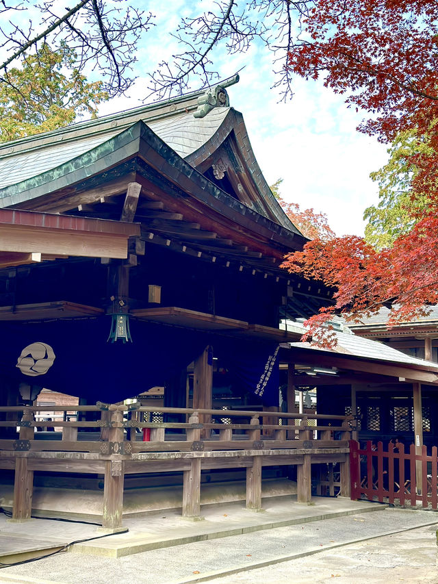 【栃木×佐野】 るろうに剣心のロケ地としても有名  紅葉 猫にも出逢える神社