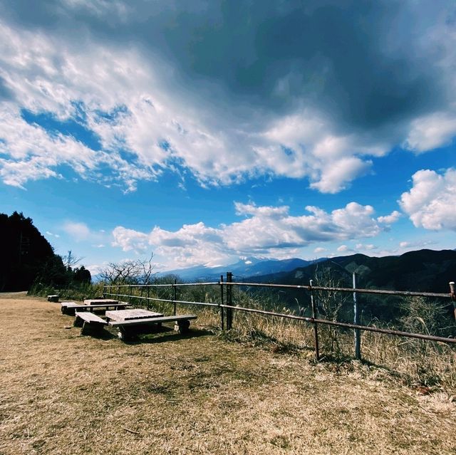 【神奈川×大野山】初心者でも楽しめる富士山絶景ハイク！
