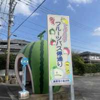 フルーツバス停通り🍓🍊🍉🍈