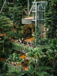 Changi Airport: A Dazzling Gateway to Singapore