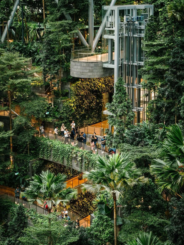 Changi Airport: A Dazzling Gateway to Singapore