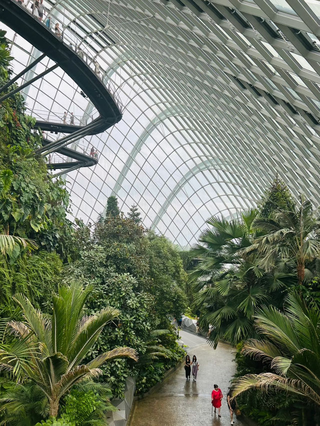 Have fun at cloud forest Singapore ❤️