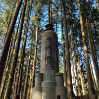Explore the magical Alishan, Taiwan