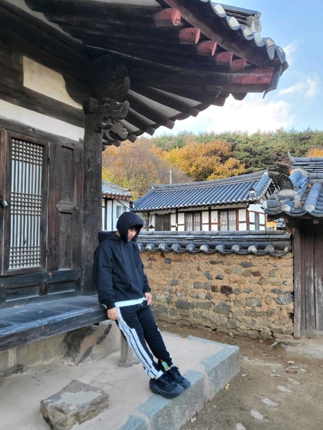 만추의 아름다움이 가득한 밀양 여행지
