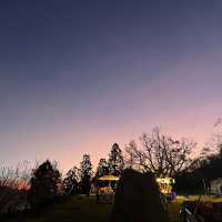 Explore Cingjing Farm, Taiwan’s High Mountain Leisure Farm
