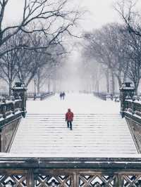 Snow wonderland in NYC