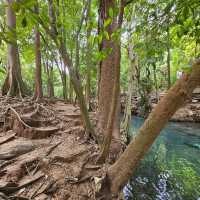 น้ำผุดธรรมชาติบ้านท่าช้าง (น้ำผุดปากช่อง)
