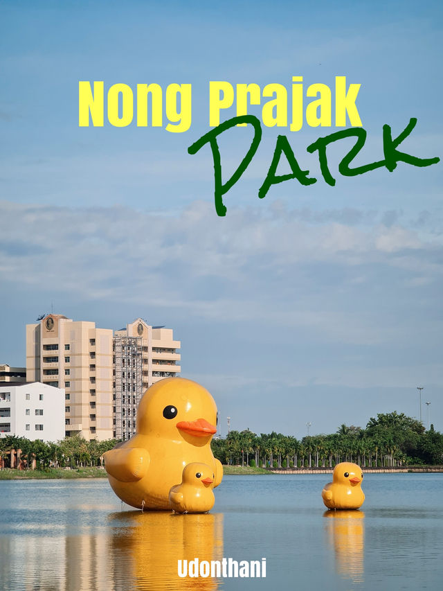 เช้า ๆ ที่สวนสาธารณะหนองประจักษ์ อุดรธานี 🐥