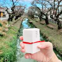 【関東】毎朝限定20体！？縁結び玉をもらいに川越氷川神社へ⛩