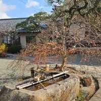 有馬溫泉秘境〔林溪寺〕的幽靜禪意