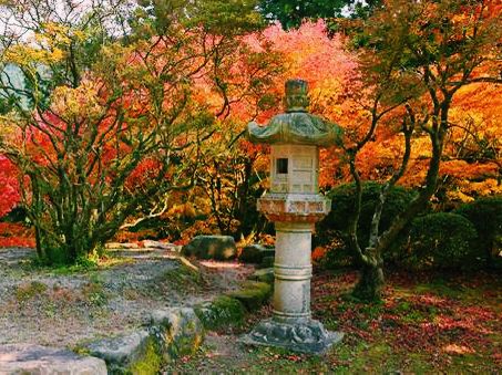 福岡🇯🇵雷山千如寺