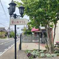 【小布施】紅茶とケーキ専門店🫖栗の木テラス