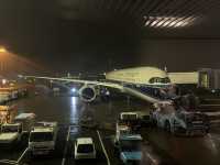 【中国南方航空】長距離線搭乗紀 : アムステルダム発広州行